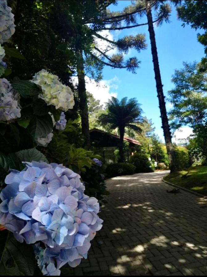 Casa Goldoni Gramado Villa Dış mekan fotoğraf